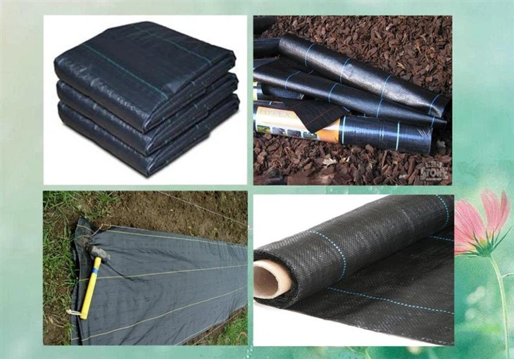 7a36e916ef0ba786cf5b612ae17ed36f