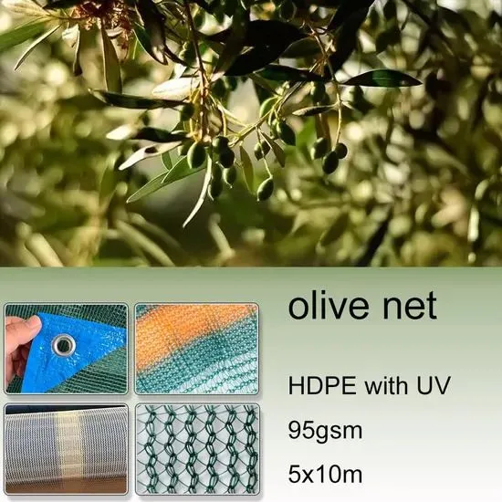 دوبارہ پریوست زیتون چننے کا جال